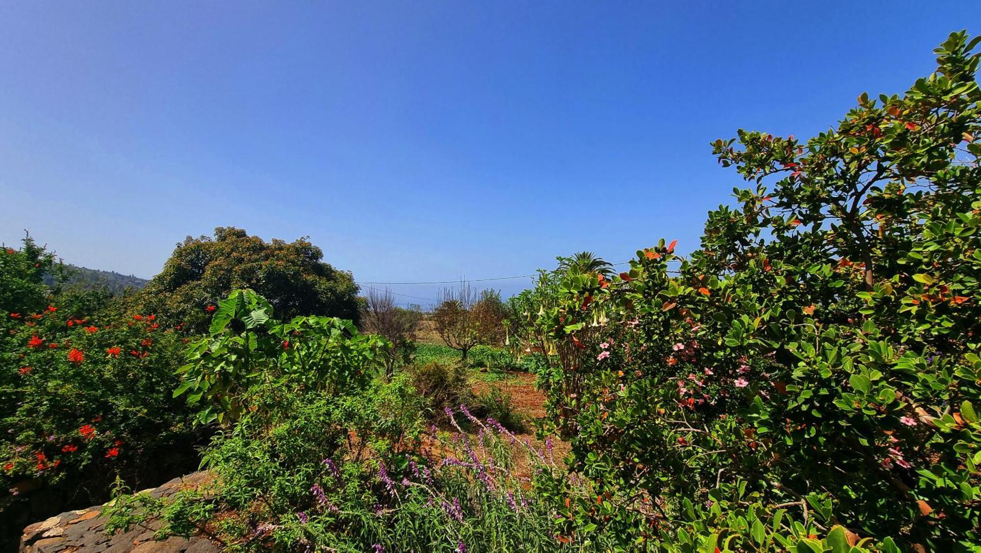 El Jocamo Villa ปุนตากอร์ดา ภายนอก รูปภาพ