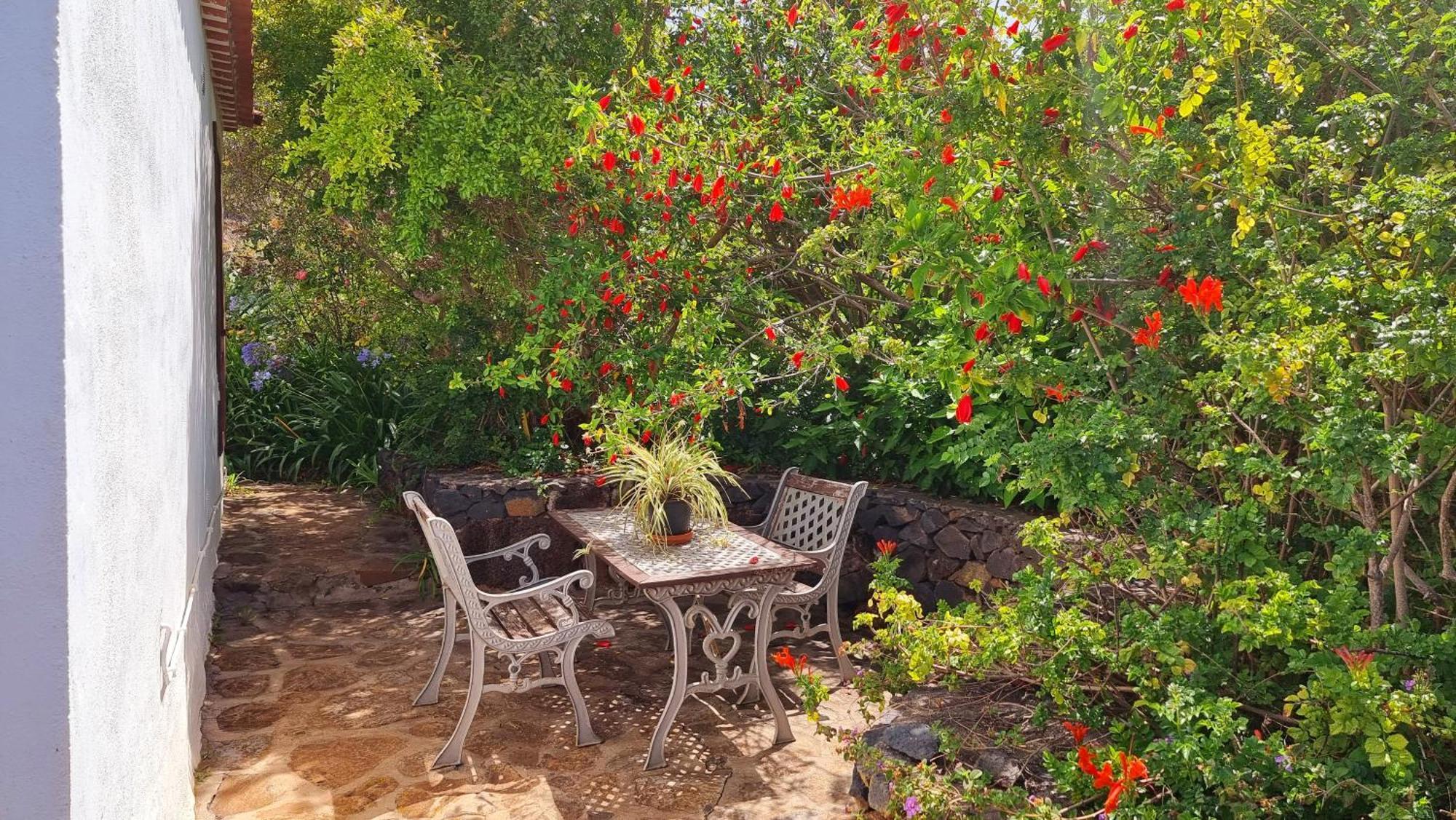 El Jocamo Villa ปุนตากอร์ดา ภายนอก รูปภาพ